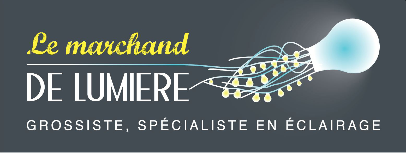personnalisation d'enseigne lumineuse 